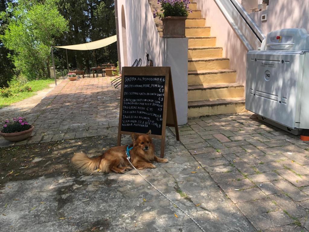 Bb Gli Aristogatti Bed & Breakfast Ghizzano Eksteriør bilde